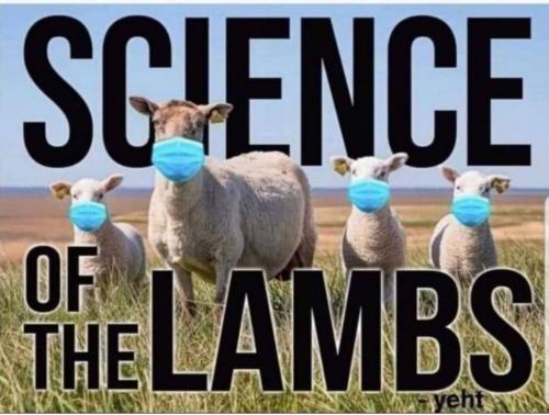 20:41:01 GMT-0400 (EDT)