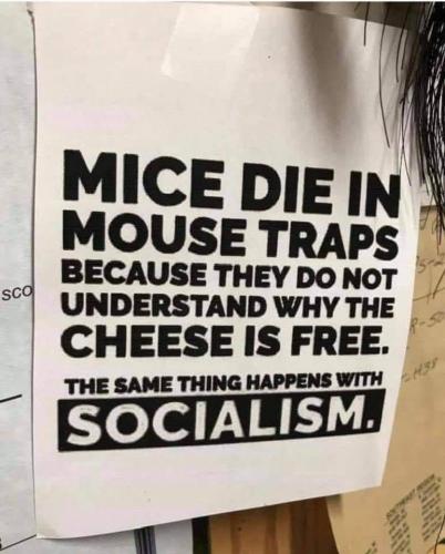 socialis and mouse traps