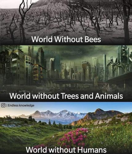 09:25:06 GMT-0500 (CDT)