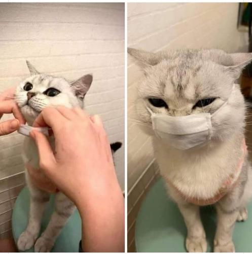 04:55:20 GMT-0500 (CDT)