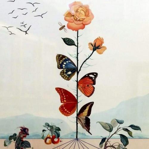 FB_IMG_1576880834285