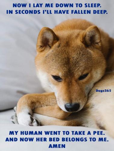 FB_IMG_1619008892721