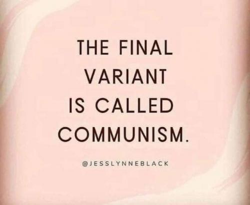 233506999_1172896566521445_414874016056208073_n