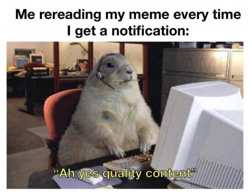 tumblr_9e9d4747d5fe020e00665d9a4769c0a6_3d372312_1280