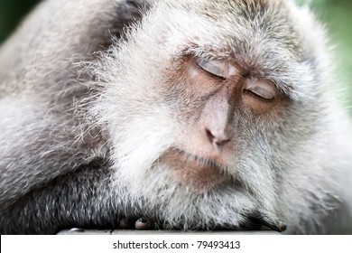 10:20:06 GMT-0400 (EDT)