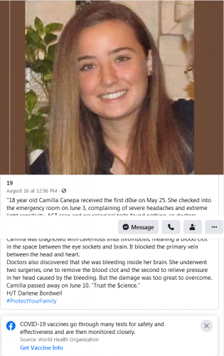 Covid-19 - Camilla Canepa