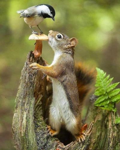 237211967_393825362121143_965352791453754728_n