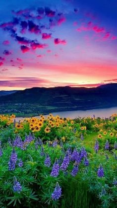 09:13:44 GMT-0500 (CDT)