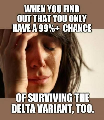 240769793_200352622142899_6071985272092493249_n