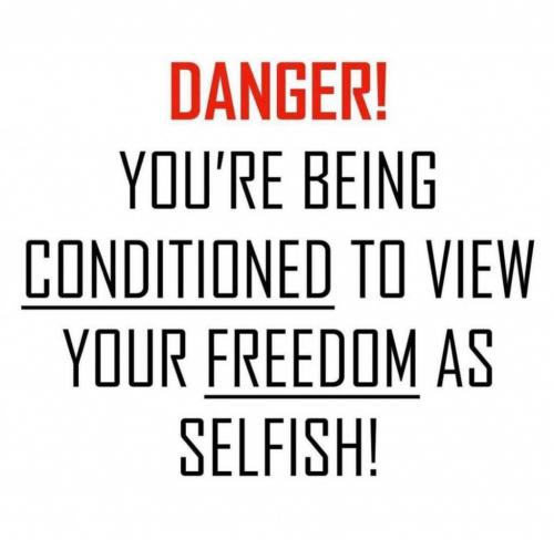 FB_IMG_1628463634196