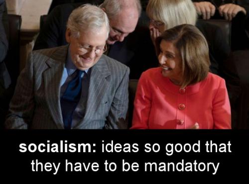 zsocialism96