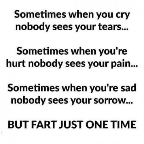 225111429_1136701890186629_91315567030923606_n