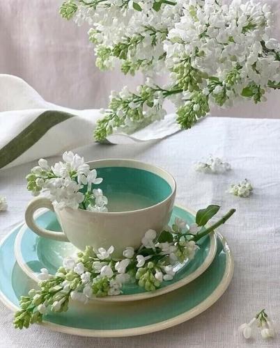 208659264_171345205032057_650723863678664832_n