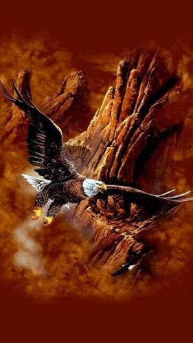 09:19:17 GMT-0500 (CDT)