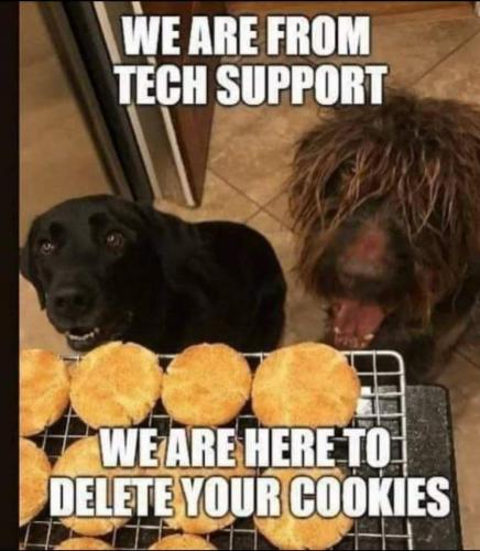 FB_IMG_1628138392435