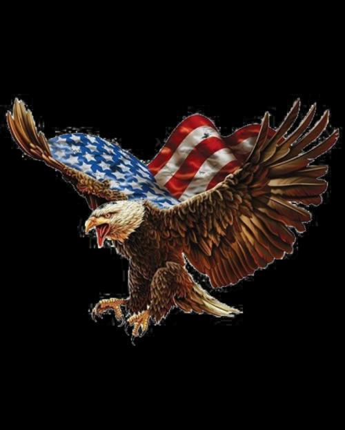 Screenshot_20210802-192901_1