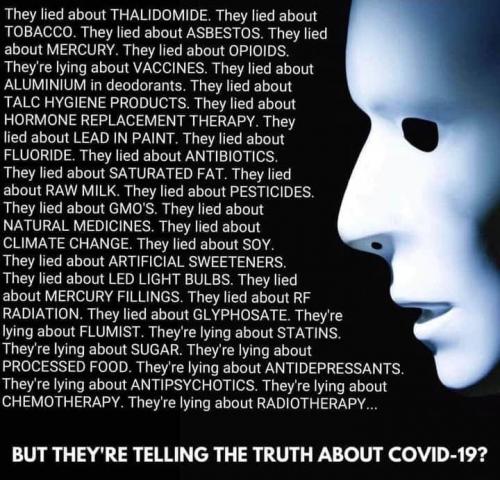 117250622_10222189356633127_293778615905439768_n