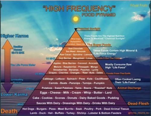 food frequencies
