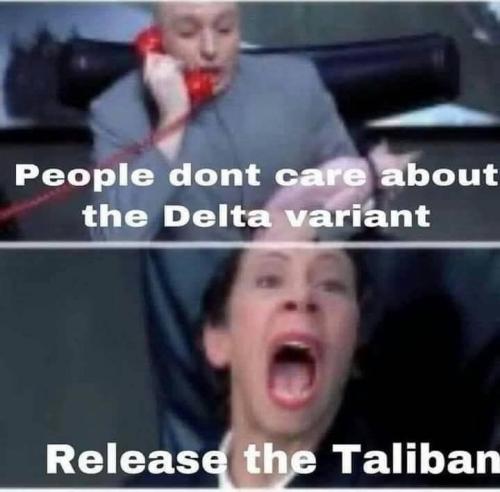 delta taliban