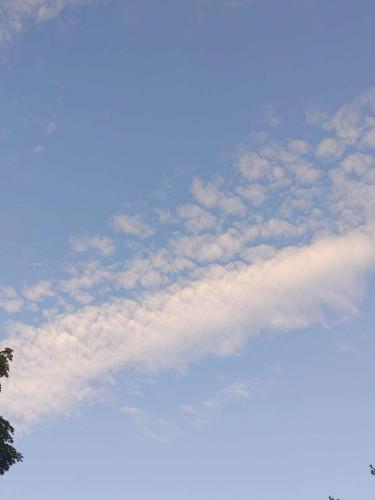 received_3134497420127431