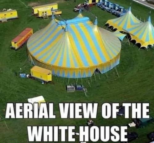 White House 🎪 🎪 🎪
