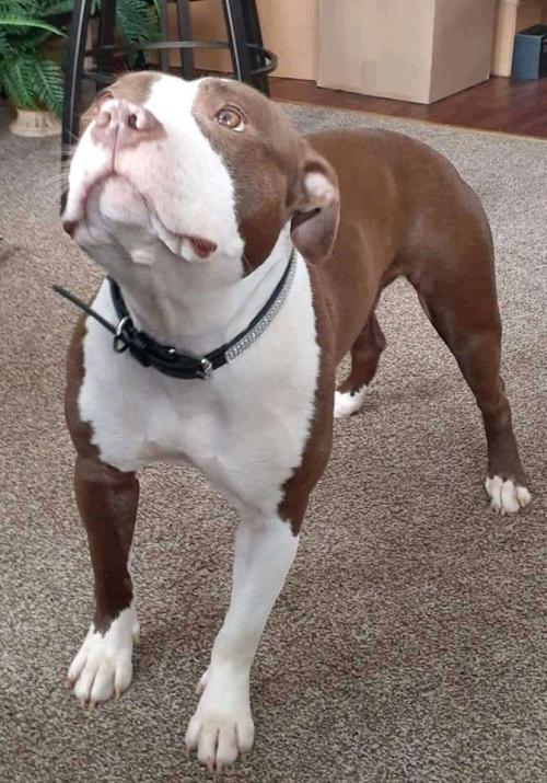 14:34:22 GMT+0100 (WAT)