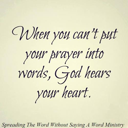 10533714_617453701687098_1717087002332428018_n