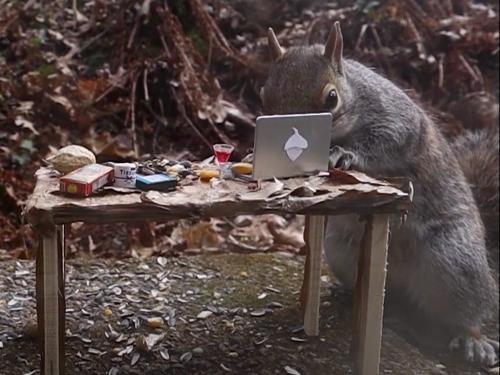 5ebd85672618b9067e03c1b3