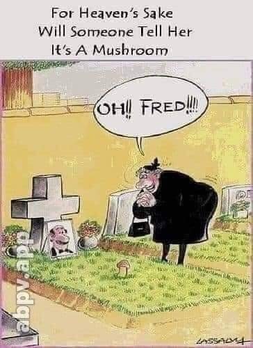 228526617_4672825349416714_7813177507210076395_n