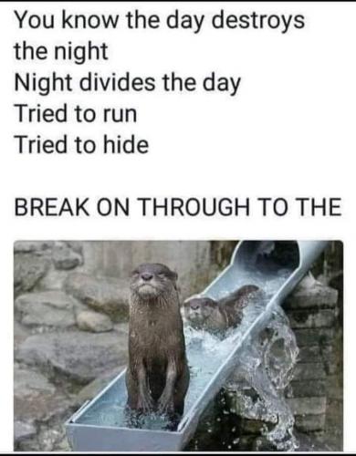 FB_IMG_1629653628252