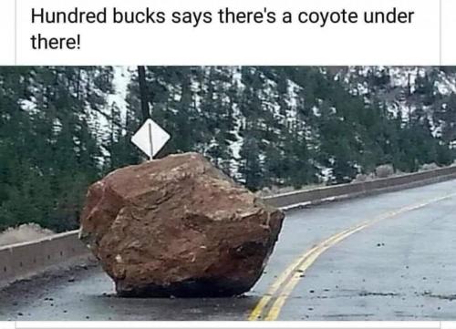 FB_IMG_1628678490701