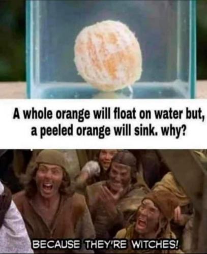 FB_IMG_1628613534696