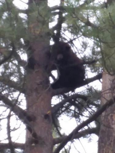 Resized_20190916_072545 (1)