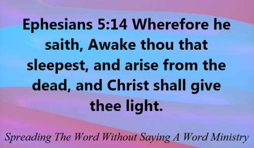 226341435_311185977356902_2053649398065050534_n