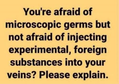 238167119_356690076108663_6442250098593171841_n