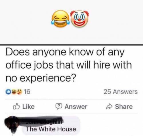 01:03:41 GMT-0400 (EDT)