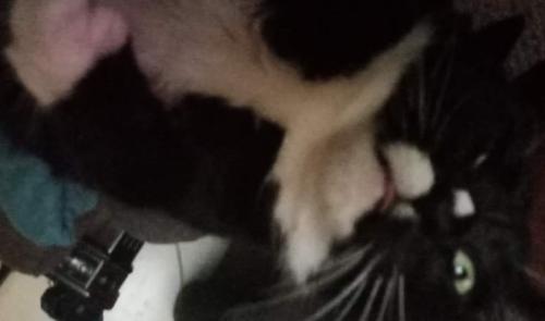 FB_IMG_1630058874338