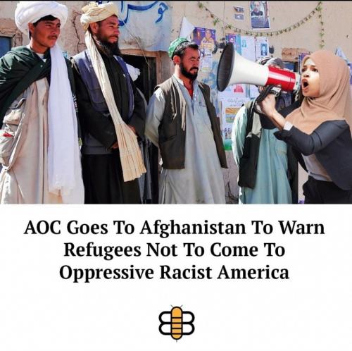 Screenshot_20210819-121448_Instagram