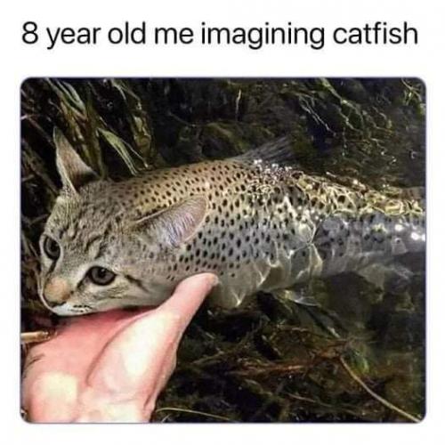 FB_IMG_1628489512808