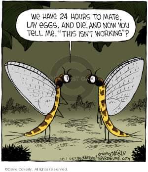 13:06:14 GMT-0400 (EDT)