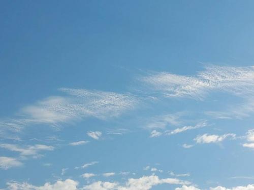 received_548670976179520