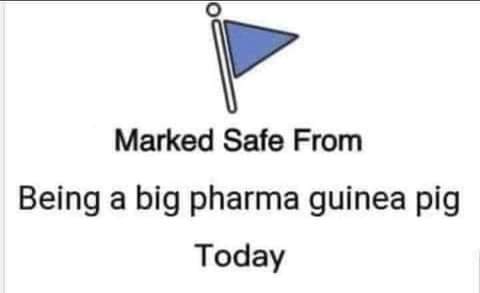 FB_IMG_1628624919668