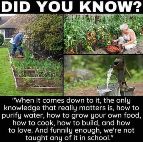 IMG_20210605_164713_060