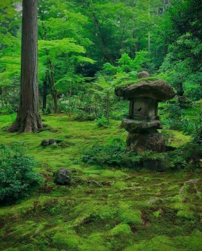 229945303_375191970643478_7547198370410076007_n