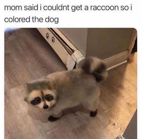 FB_IMG_1629145172706