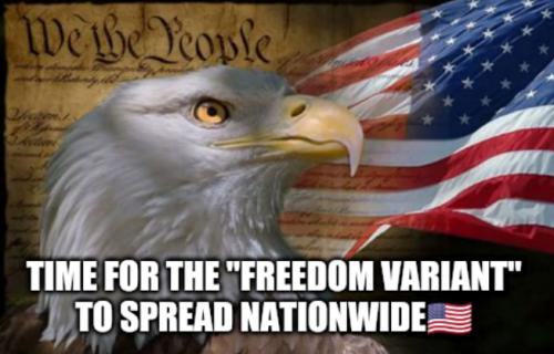 224336942_2037728393045476_6749699040681506841_n