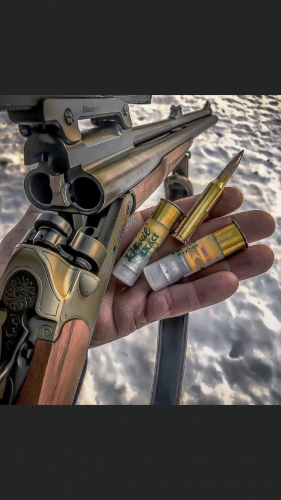 14:16:06 GMT-0500 (CDT).image