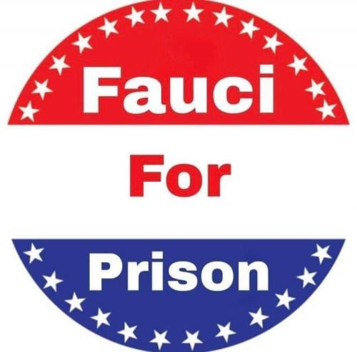 fauci prison
