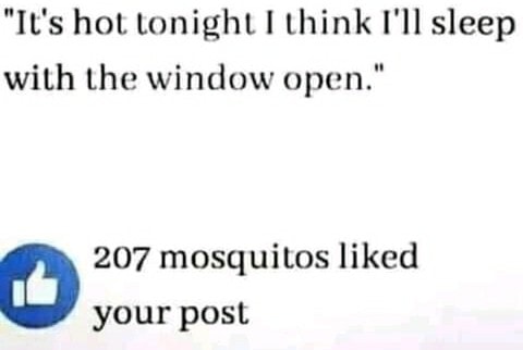 233744178_2930969160565910_4917061508289606821_n