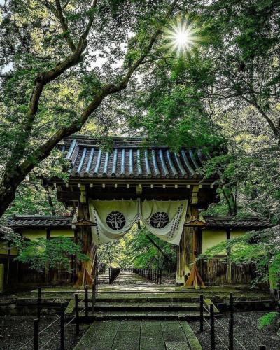 230617954_355502229625323_2569190169089756979_n